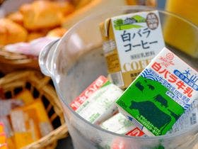 サンシャイン　とうはく