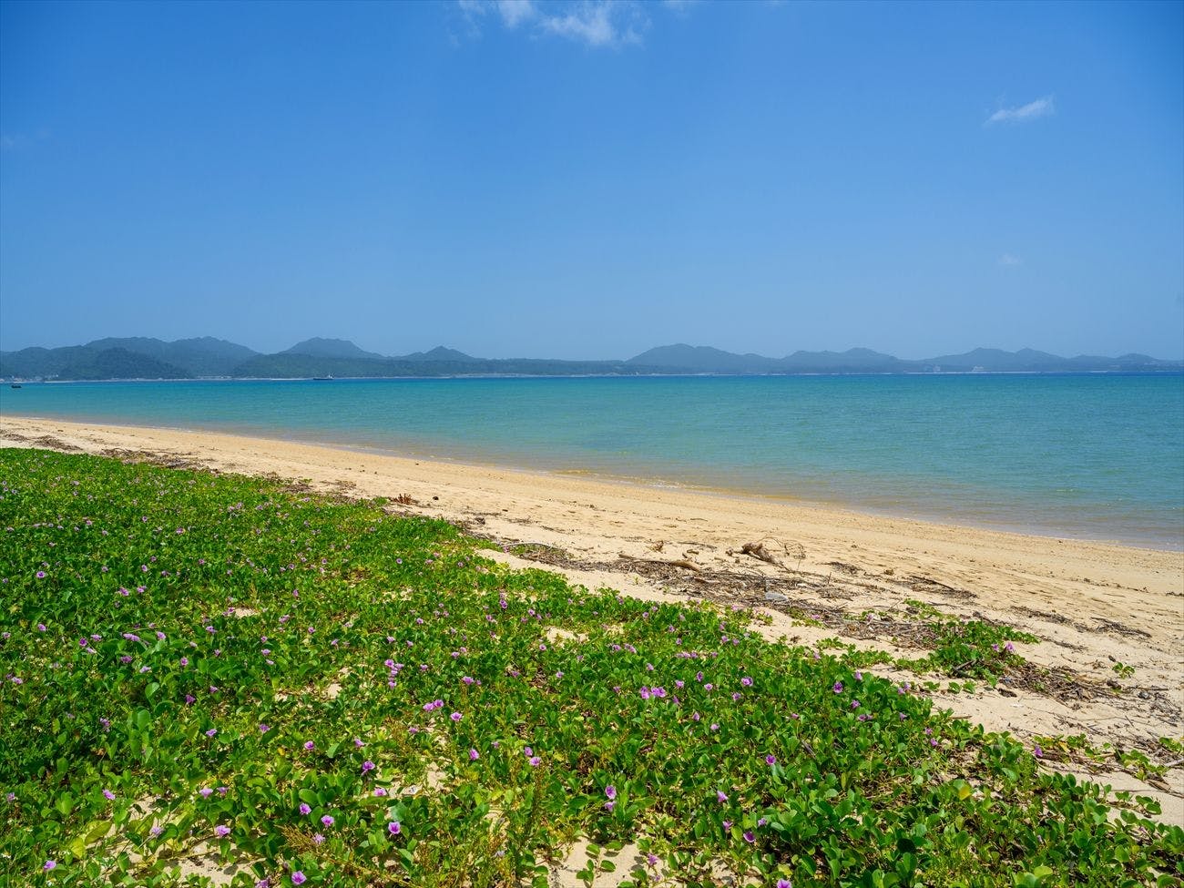 Onna Resort