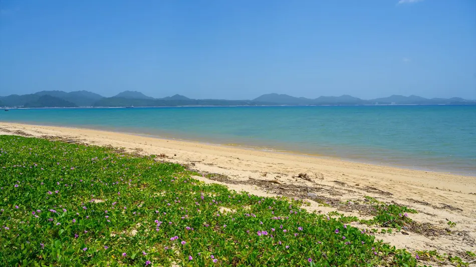 Onna Resort
