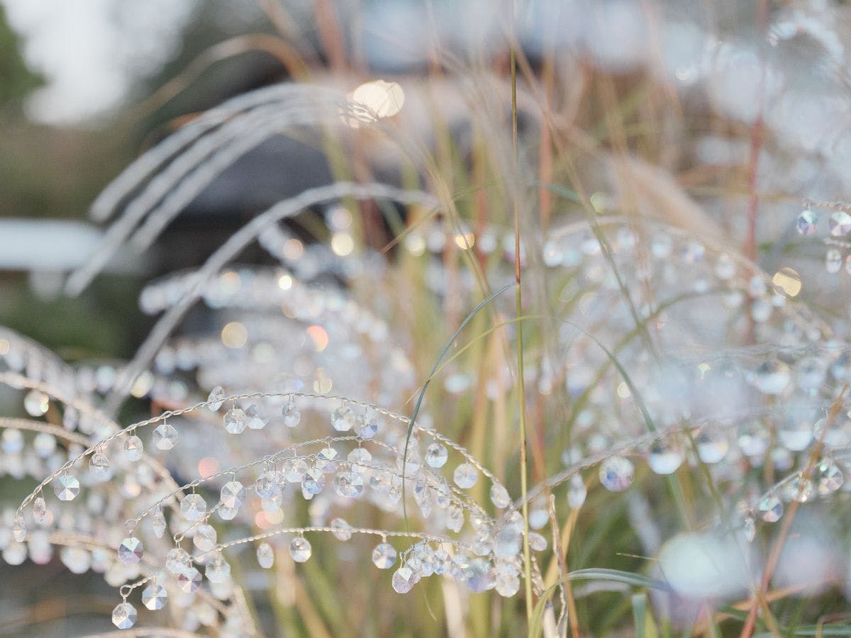 【พิพิธภัณฑ์ป่ากระจกฮาโกเน่】