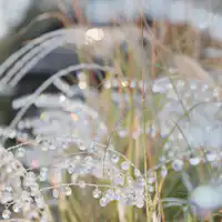 【พิพิธภัณฑ์ป่ากระจกฮาโกเน่】