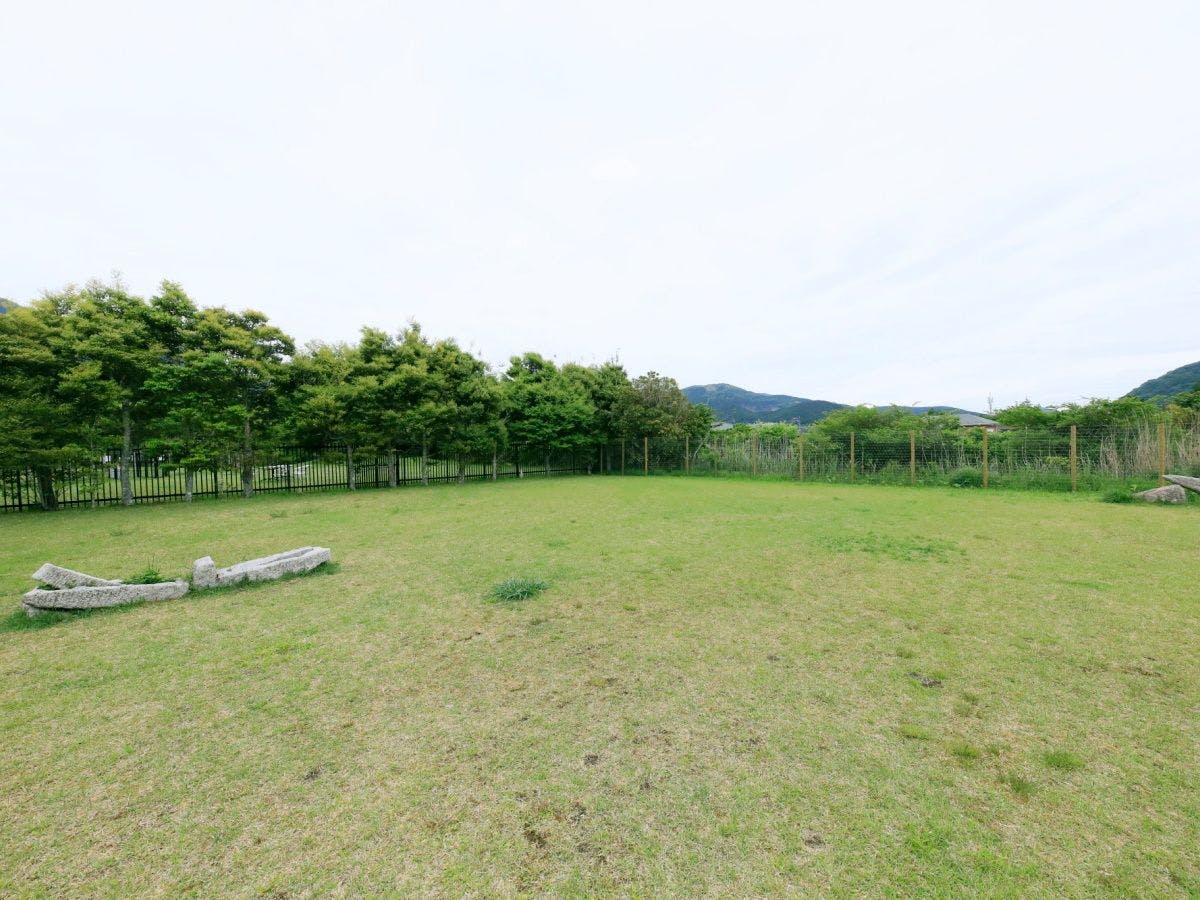 สนามวิ่งเล่นสำหรับสุนัข