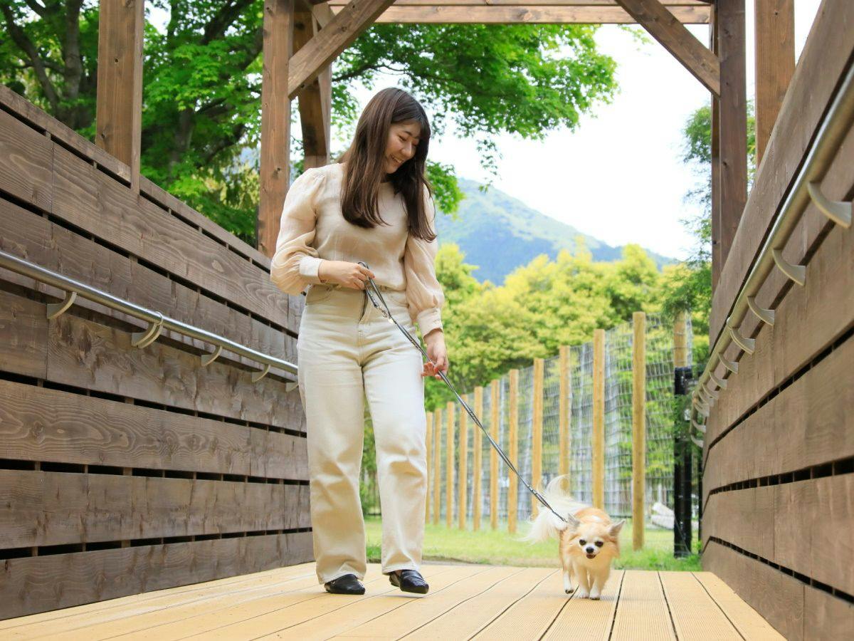 Point Vacation Hakone