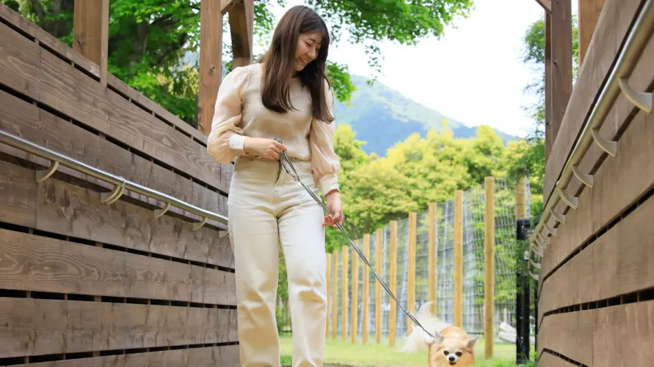 Point Vacation Hakone