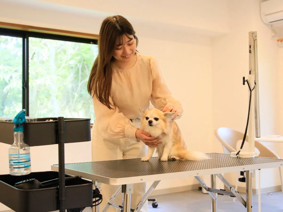 ห้องสระผมและตัดแต่ง