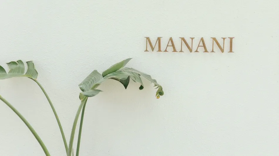 MANANI
