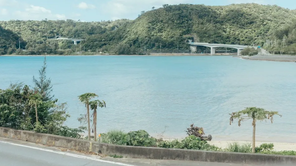 MANANI
