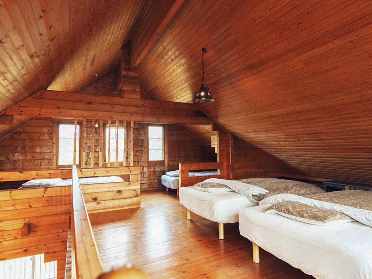 Dog Cottage D-99