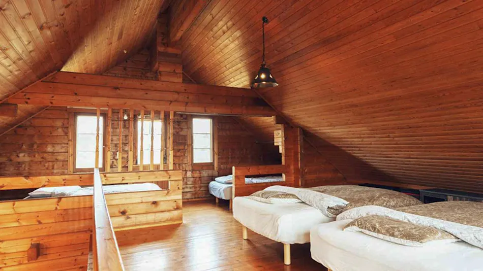 Dog Cottage D-99