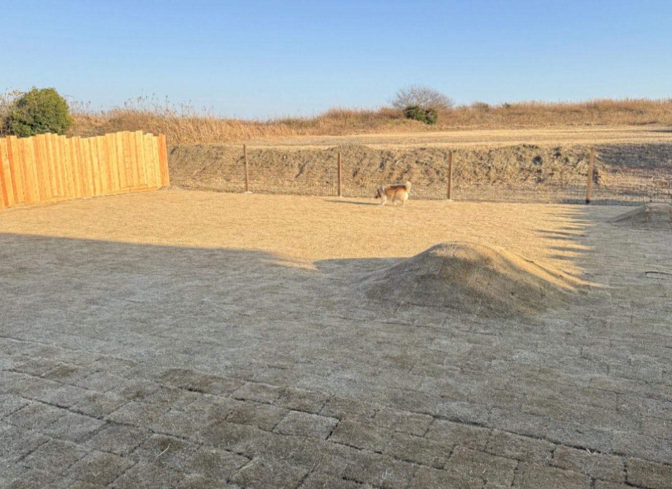 Dog Cottage D-99