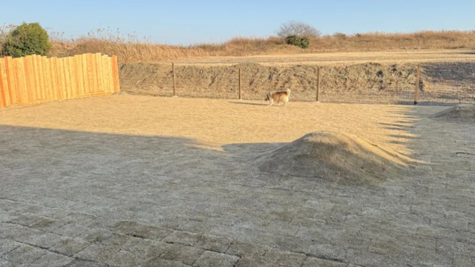Dog Cottage D-99