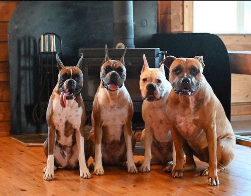 広い部屋で楽しい時間