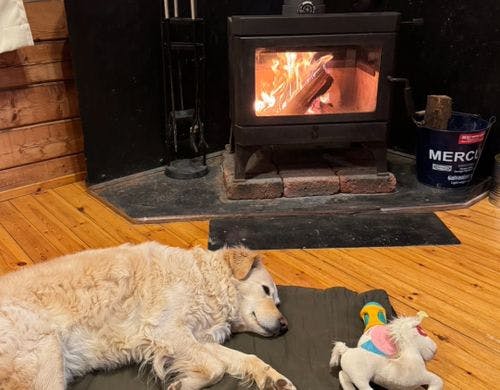 暖炉でポカポカ！