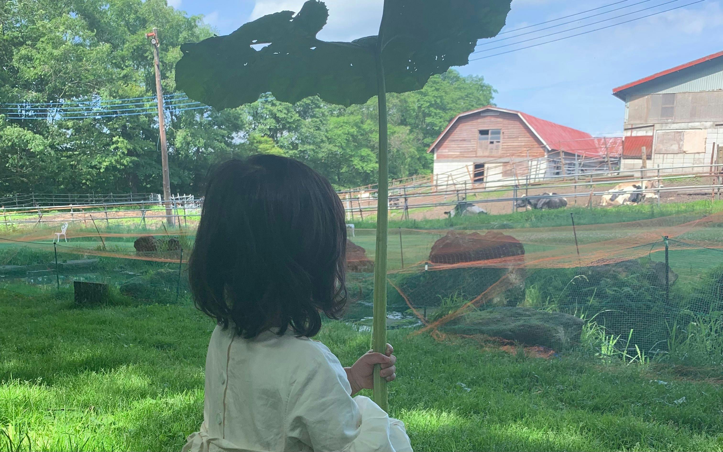Kita Karuizawa Vacation Rental FARMSIDE