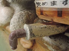 ラスパたかざき