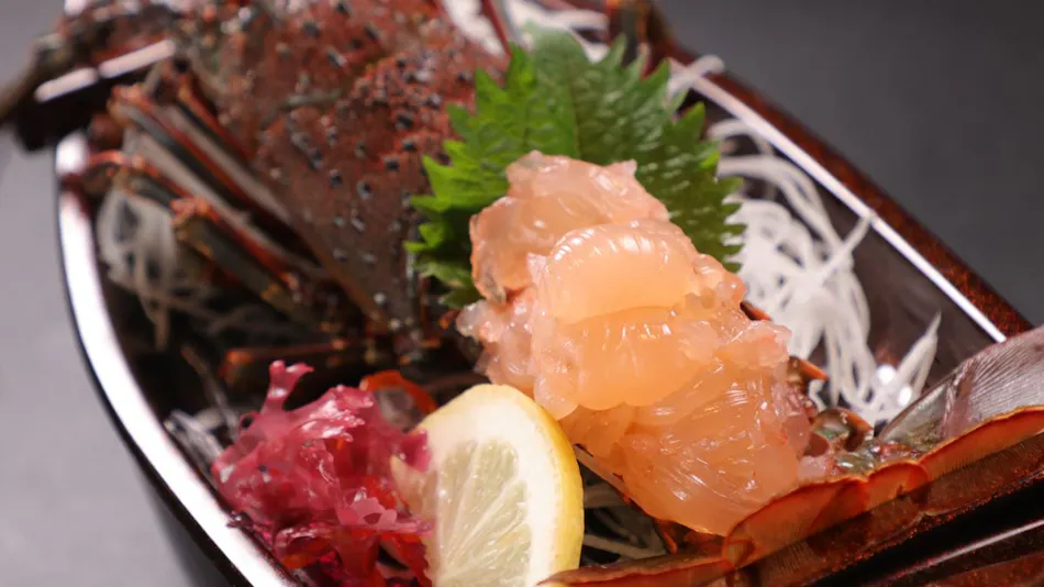 Kid-Friendly Inn Hinode Ryokan