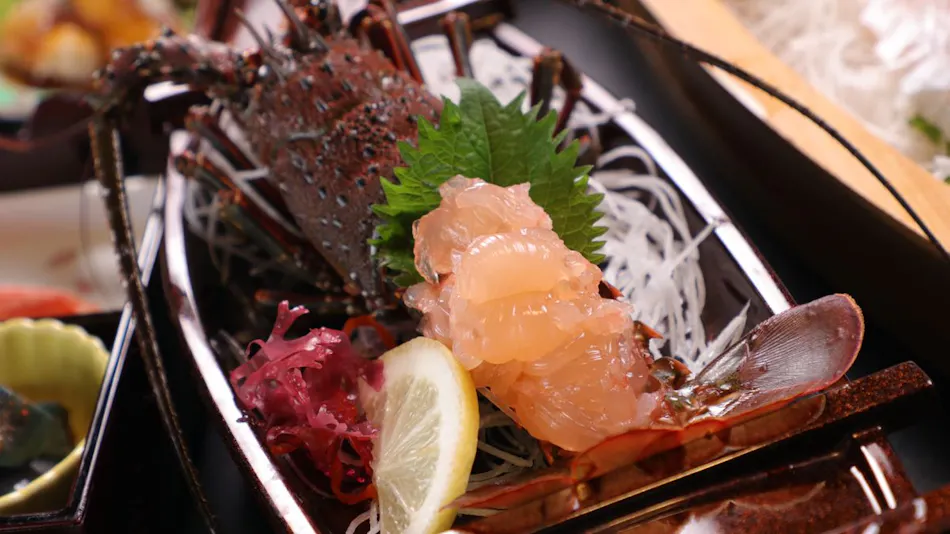 Kid-Friendly Inn Hinode Ryokan