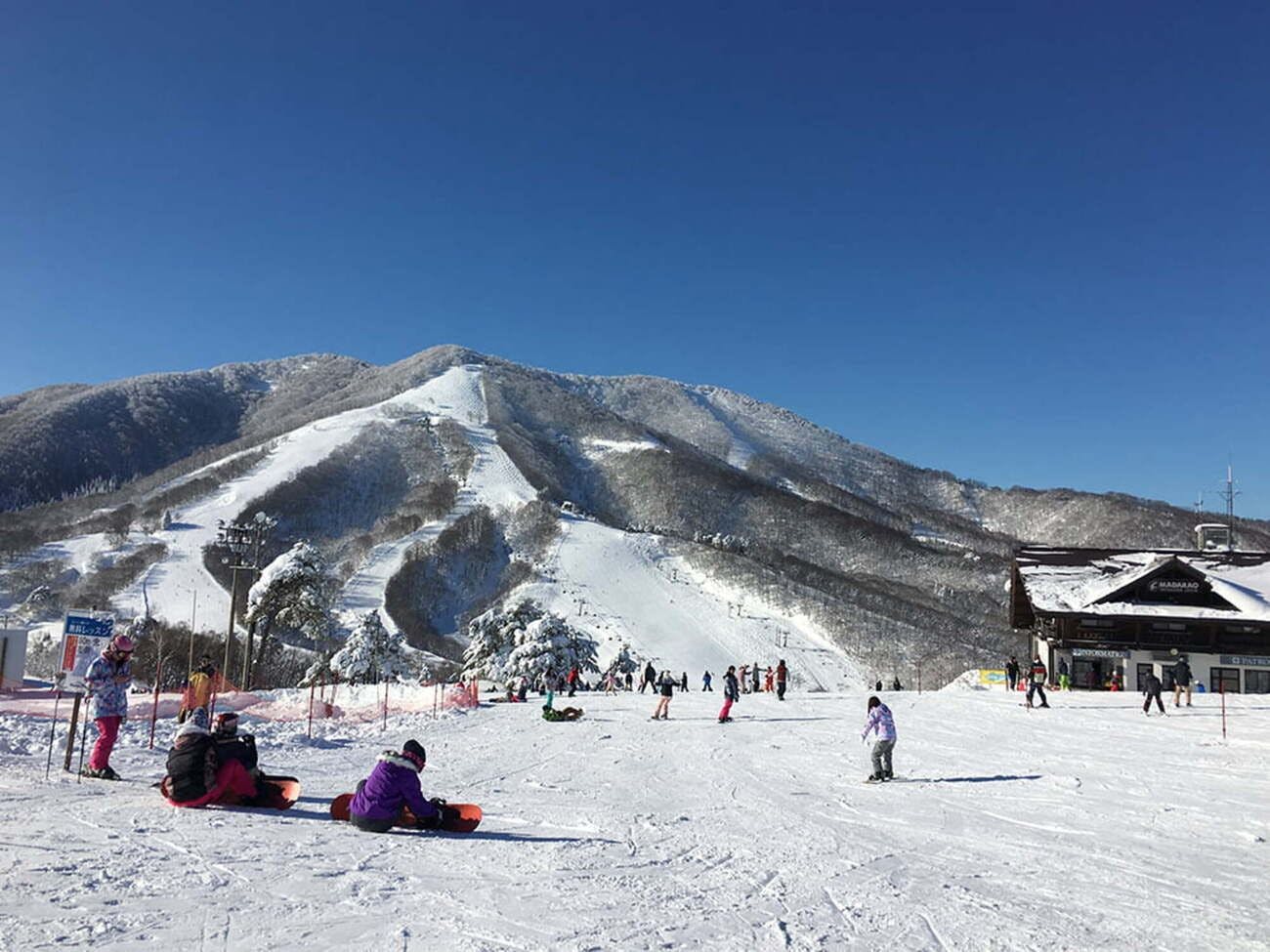 Aktivitas musim dingin