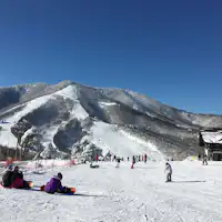 Aktivitas musim dingin