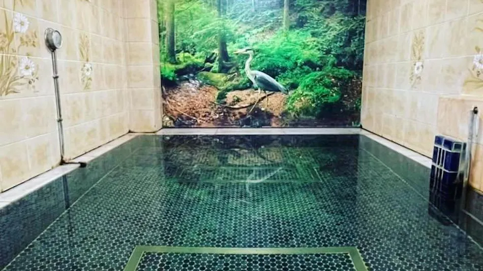 Capsule Inn Kinshicho