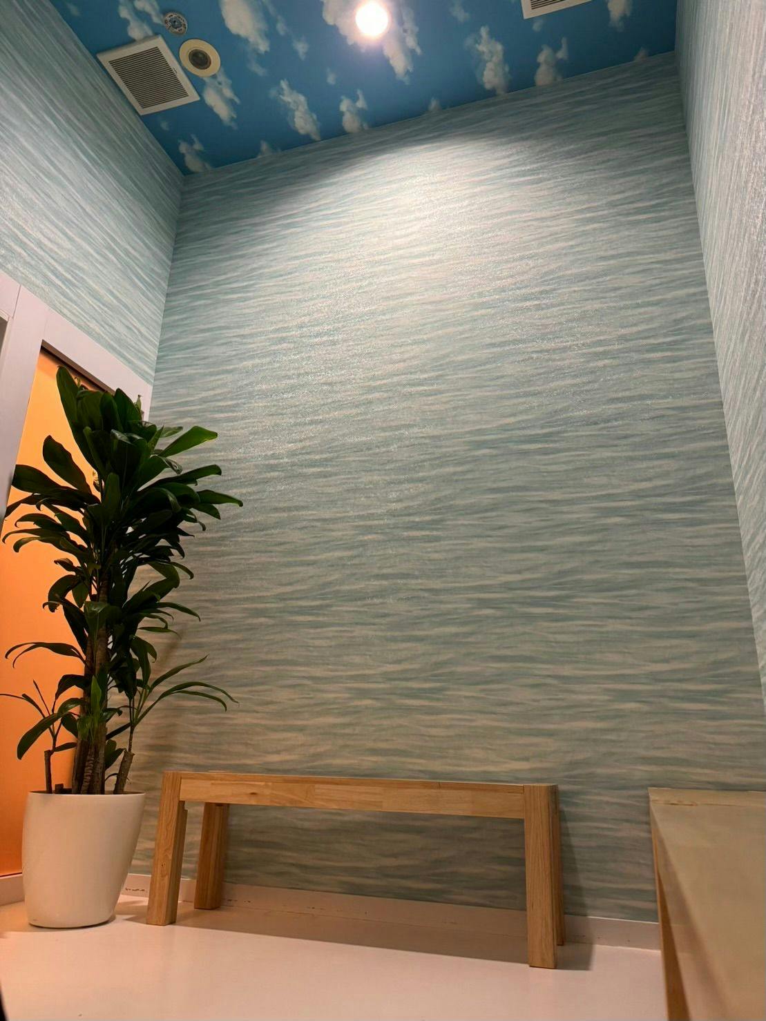 Capsule Inn Kinshicho