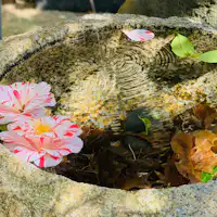 สถานที่รับประทานอาหาร (สวน)