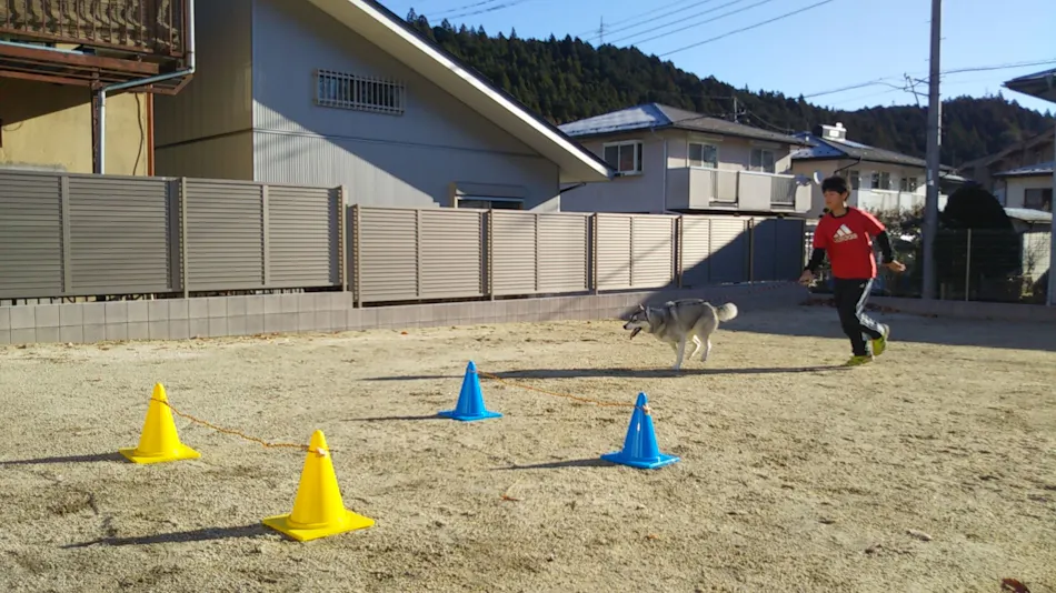 ShareResort Animal Palace