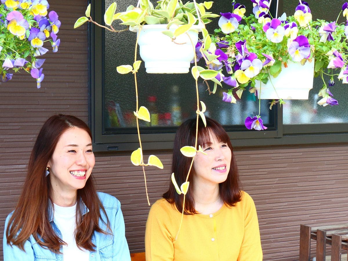 คุณสามารถนั่งบนม้านั่งข้างทางเข้าและชมสวนได้