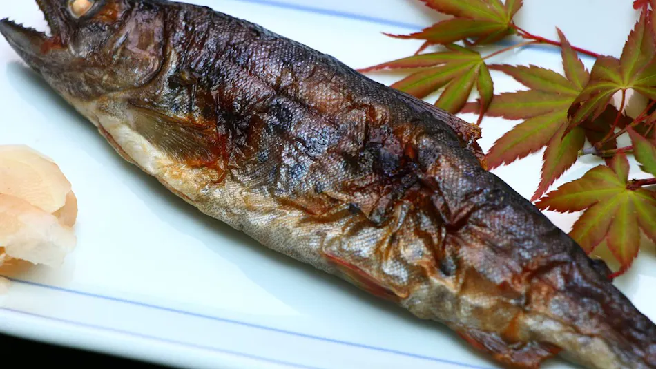 Tsubaki-an