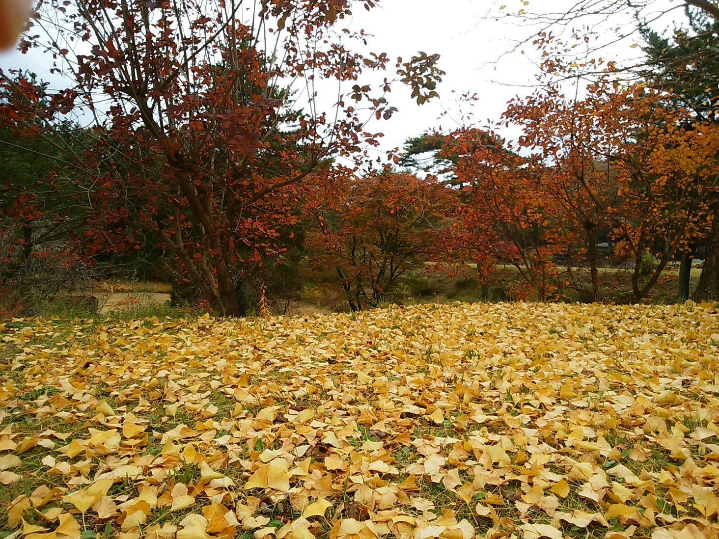 Pension Eizan Lake