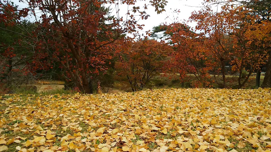 Pension Eizan Lake