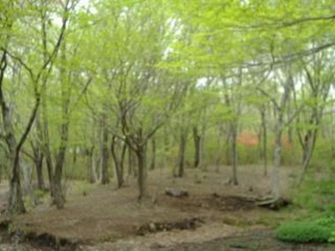 Pension Eizan Lake
