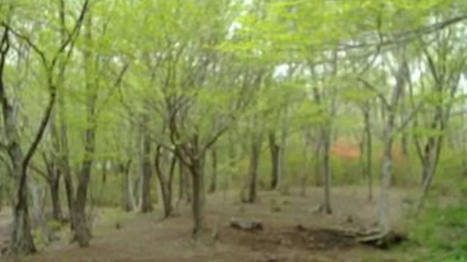Pension Eizan Lake