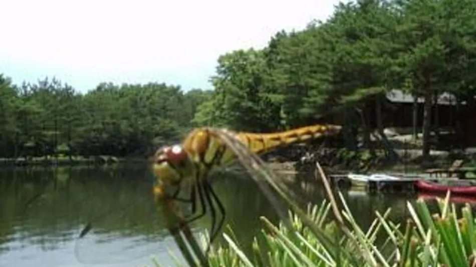 Pension Eizan Lake