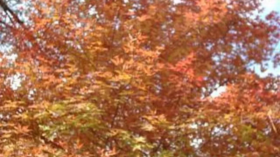 Pension Eizan Lake