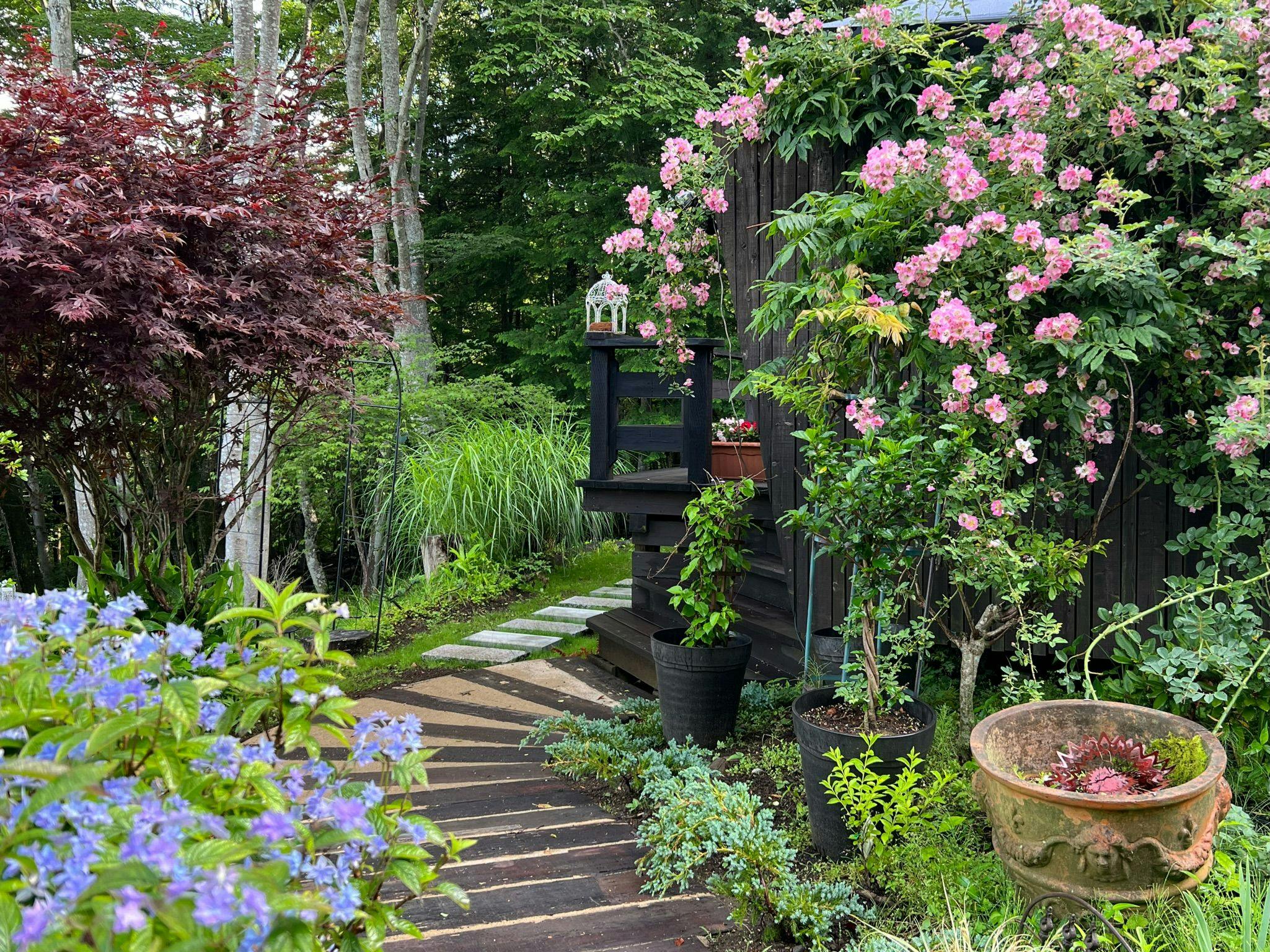 จากสวนถึงทางเข้า