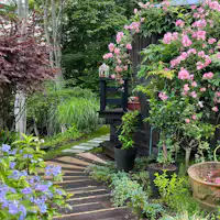 จากสวนถึงทางเข้า