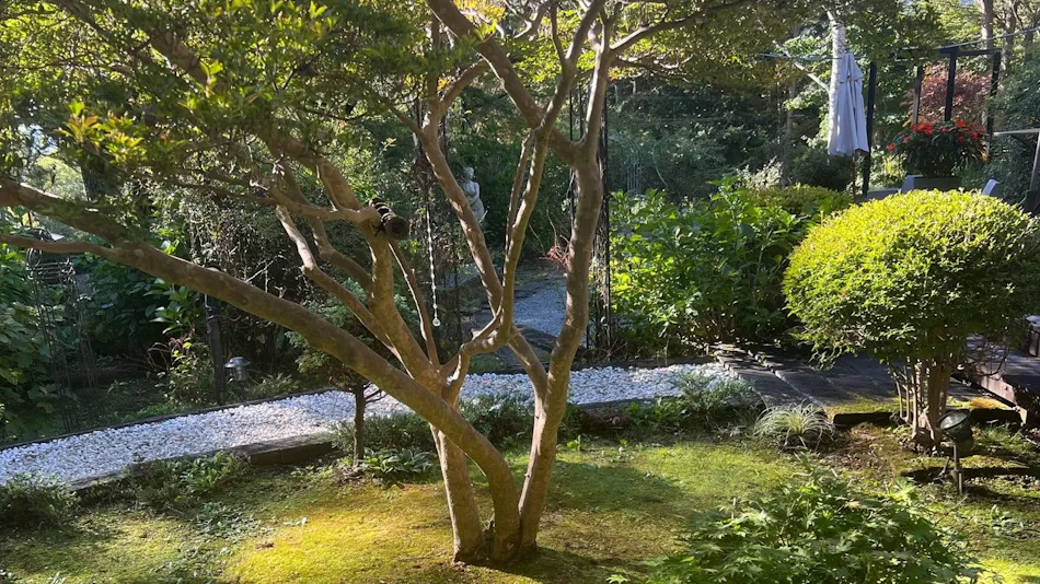 Villa Parco Yamanakako