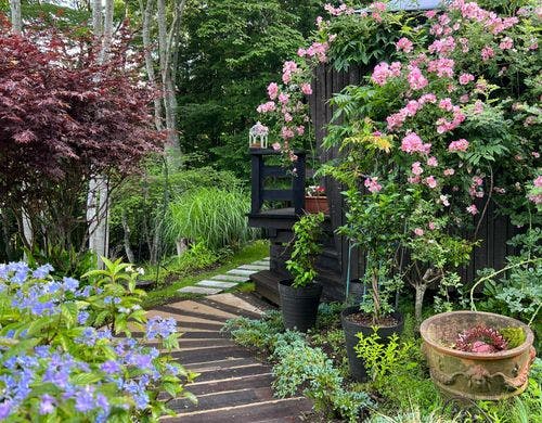 お庭から入口へ