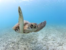 とかしくマリンビレッジ