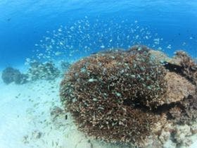 とかしくマリンビレッジ