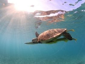 とかしくマリンビレッジ