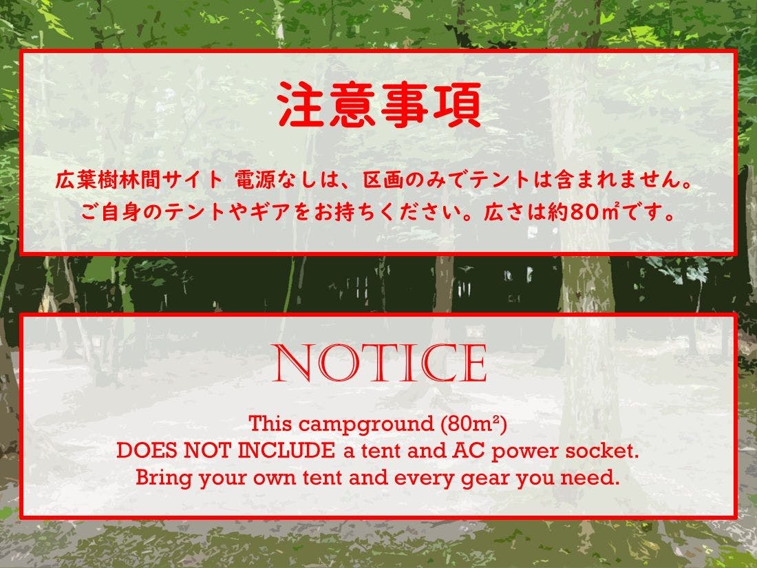 ไม่มีไฟฟ้าในพื้นที่ไม้เนื้อแข็ง