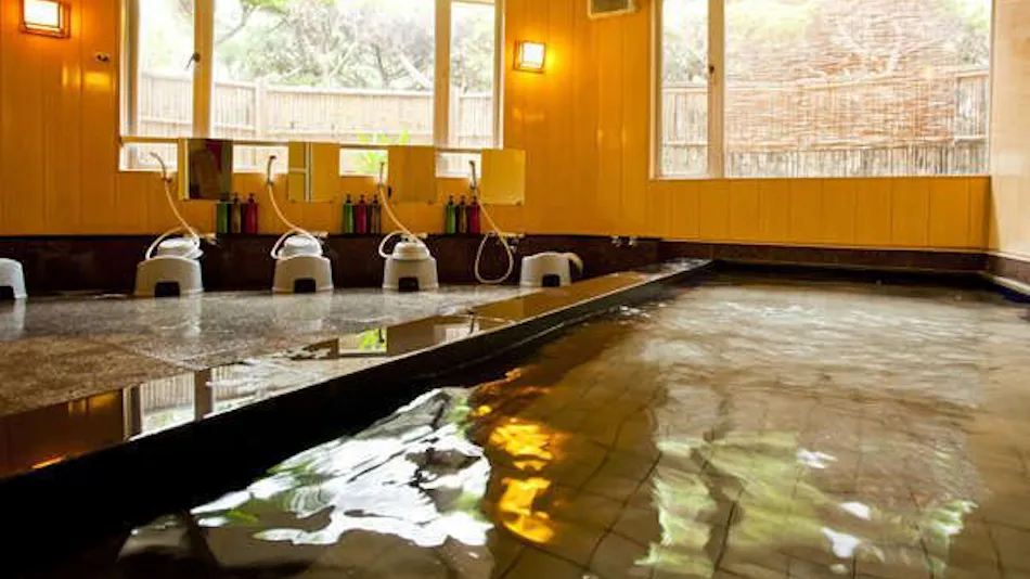 Scenic Inn Azuma