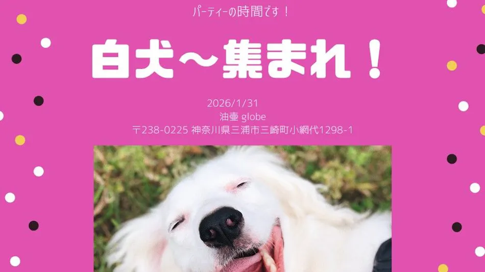 Doki Doggie Aburatsubo globe
