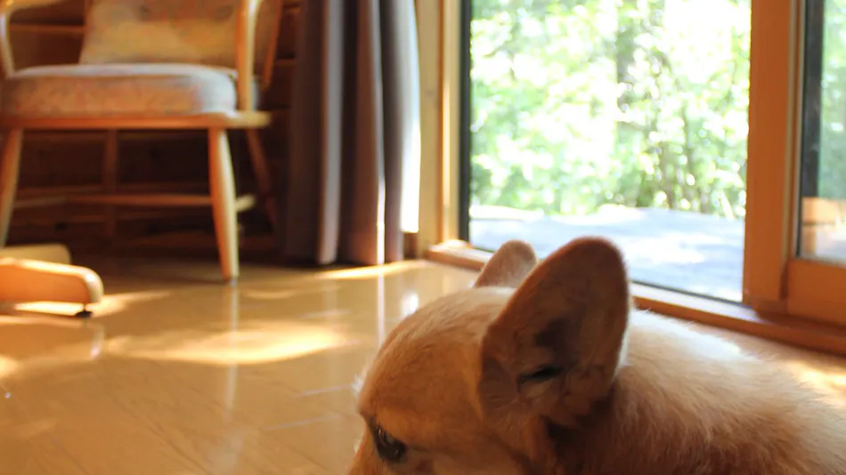 Forest Cottage Kurumi no Ki