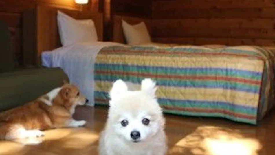 Forest Cottage Kurumi no Ki