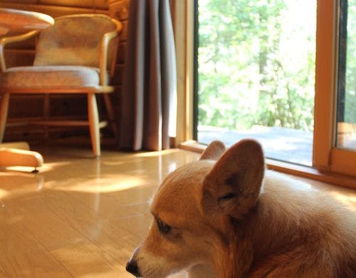 コテージ棟ツイン(一例)