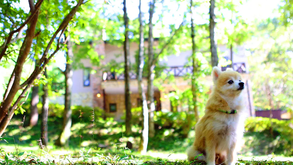 Forest Cottage Kurumi no Ki