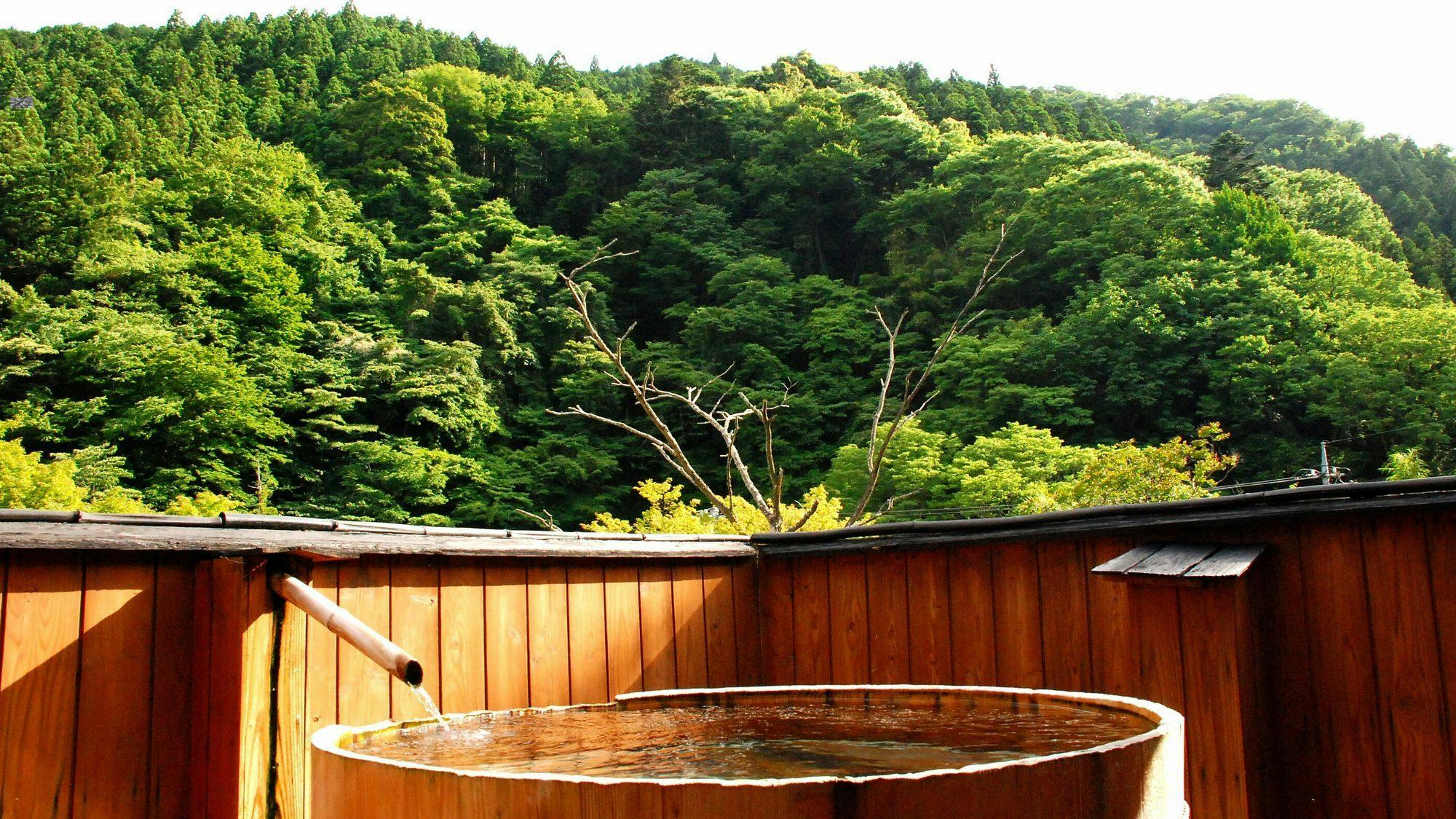 Onsen Kakenagashi no Yu Oyado Sakaya